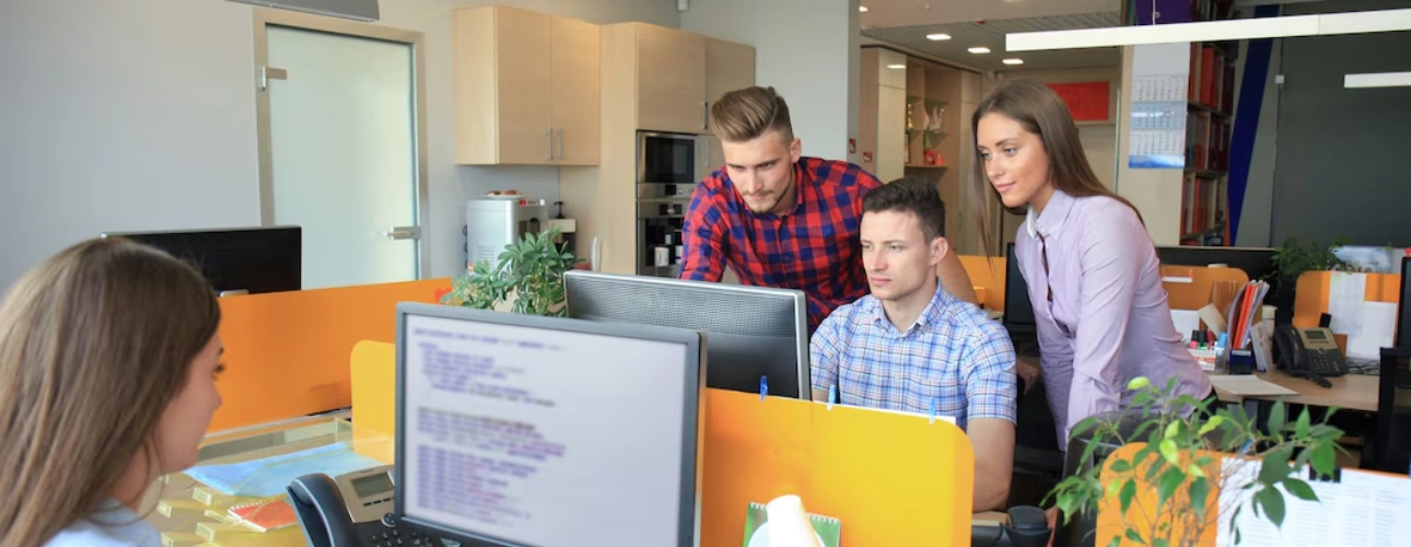 Software Company in Dhaka Bangladesh Visual i